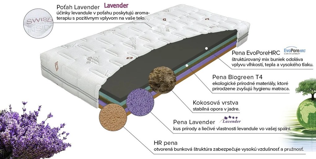 Materasso Penový matrac Swiss Royal Rozmer: 80 x 200 cm