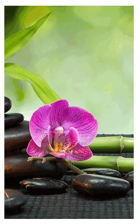 Plagát s paspartou Feng Shui zátišie - 40x60 white