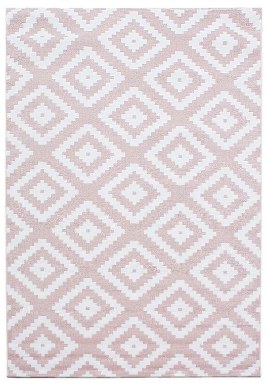 Ayyildiz koberce Kusový koberec Plus 8005 pink - 120x170 cm