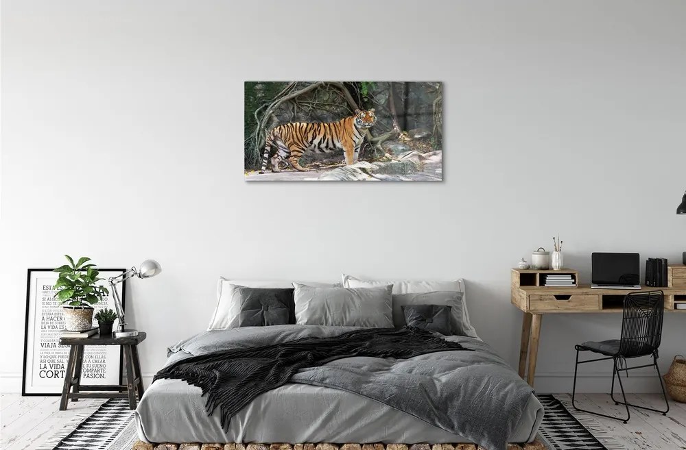 Sklenený obraz tiger džungle 100x50 cm
