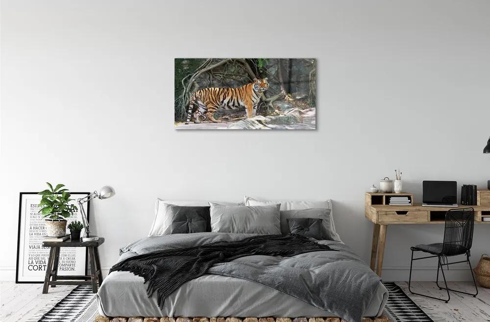 Sklenený obraz tiger džungle 125x50 cm