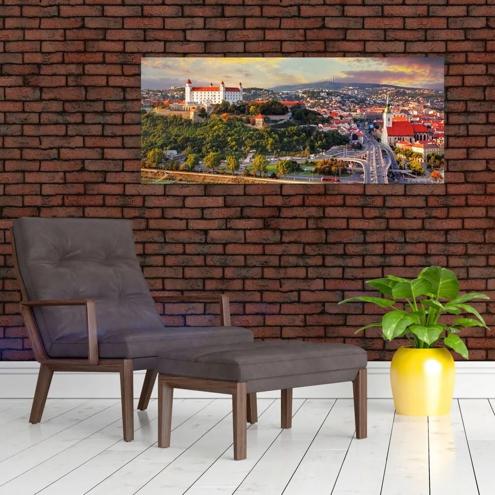 Obraz - Panorama Bratislavy, Slovensko (120x50 cm)