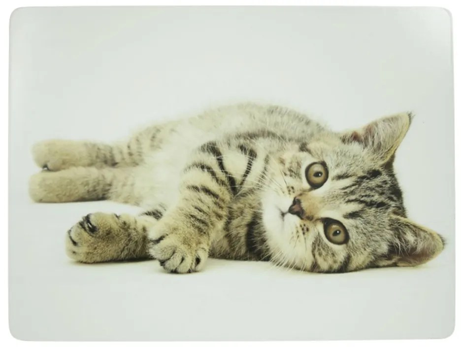 4ks pevné korkové prestieranie kotě - 30*40*0,4cm