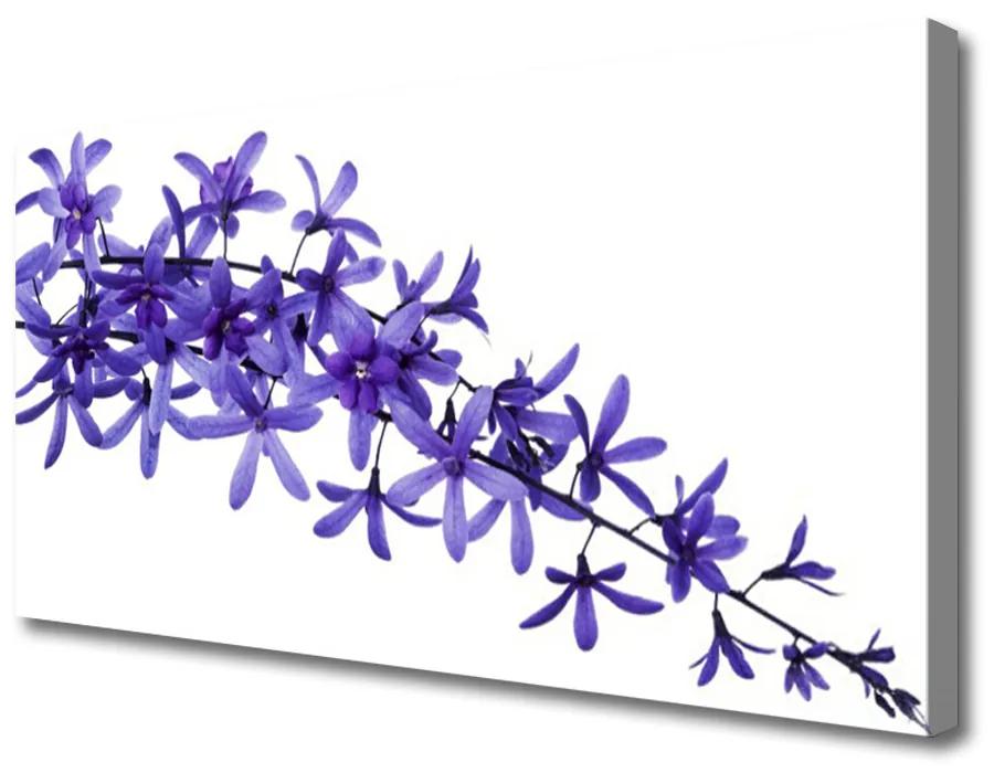 Obraz Canvas Kvety rastliny príroda 100x50 cm