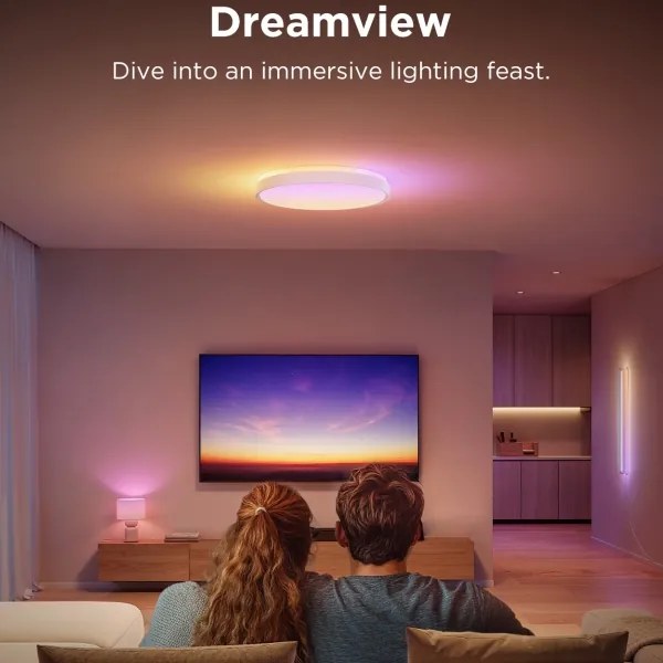 Govee - LED RGBIC Stmievateľné stropné svietidlo LED/49W/230V 2700-6500K Wi-Fi