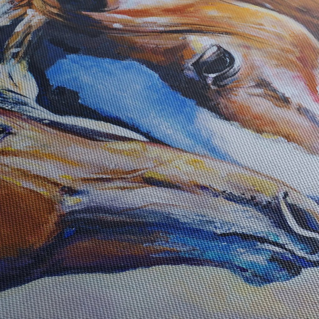 Obraz - Zamilované kone (90x60 cm)