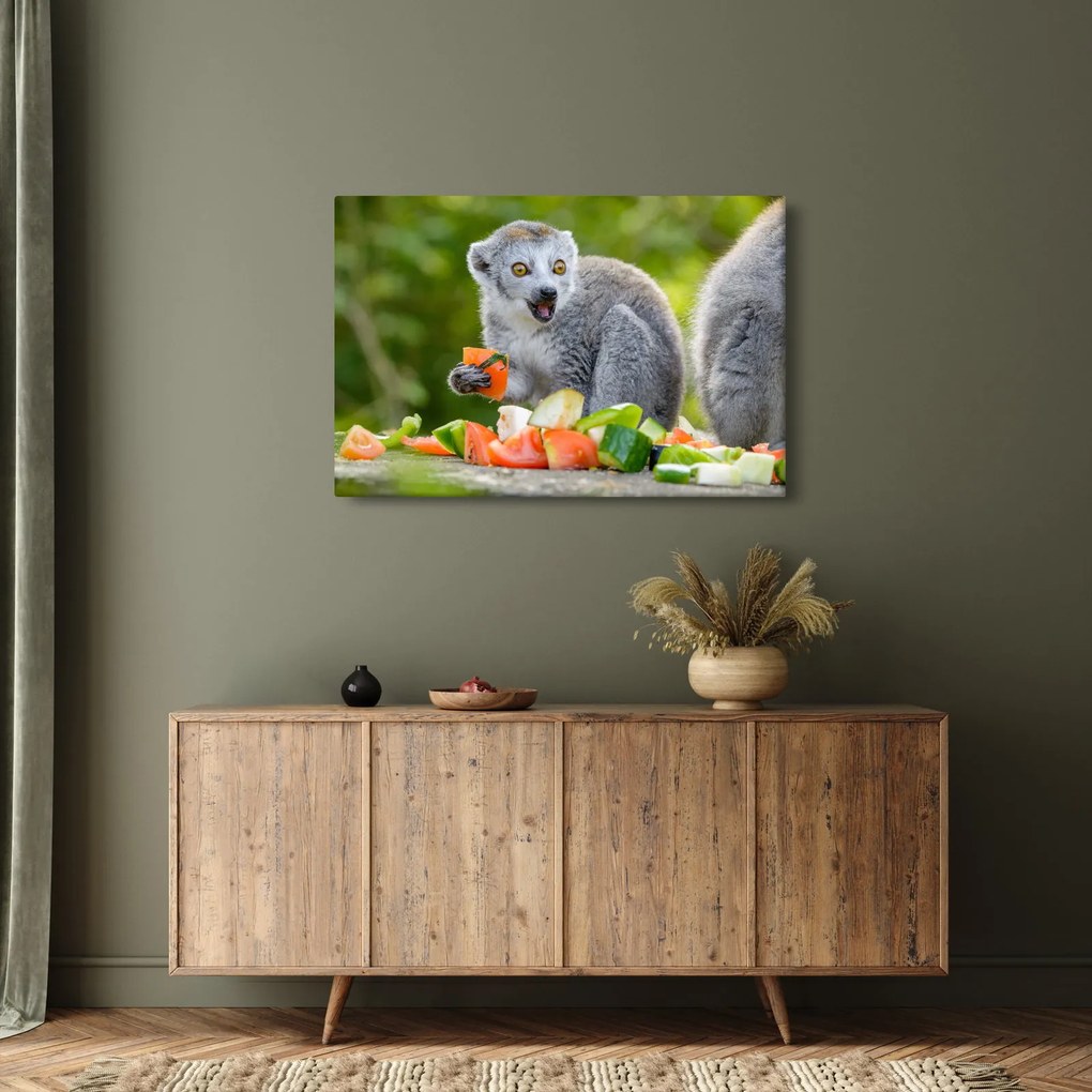 Obraz lemura (90x60 cm)