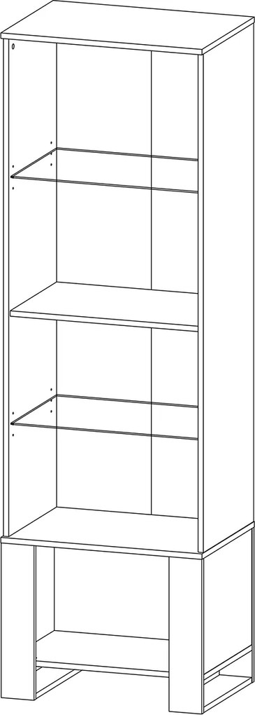 Dvojdverová vitrína Olen TC-2D L/P - čierna / craft zlatý