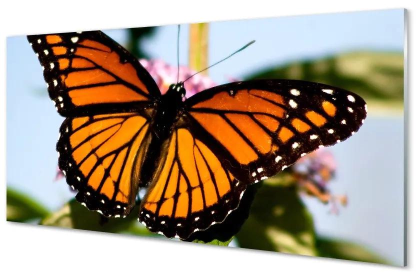 Sklenený obraz farebný motýľ 140x70 cm