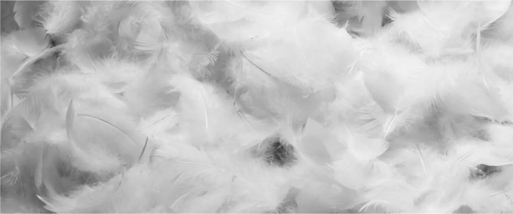 Obraz - Oblaky perie (120x50 cm)