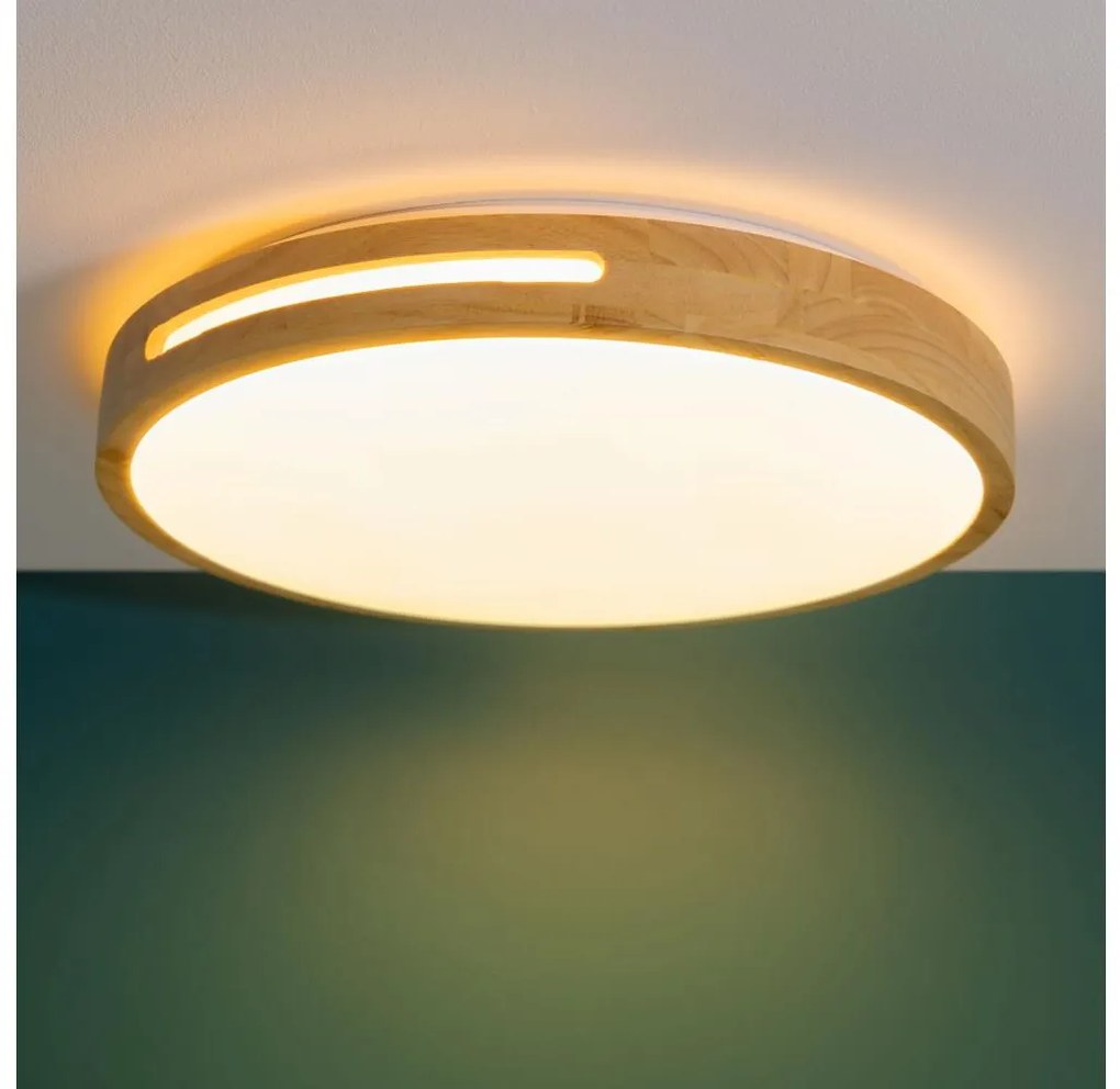 Brilliant - LED Stmievateľné stropné svietidlo WOODBURY LED/24W/230V pr. 39 cm
