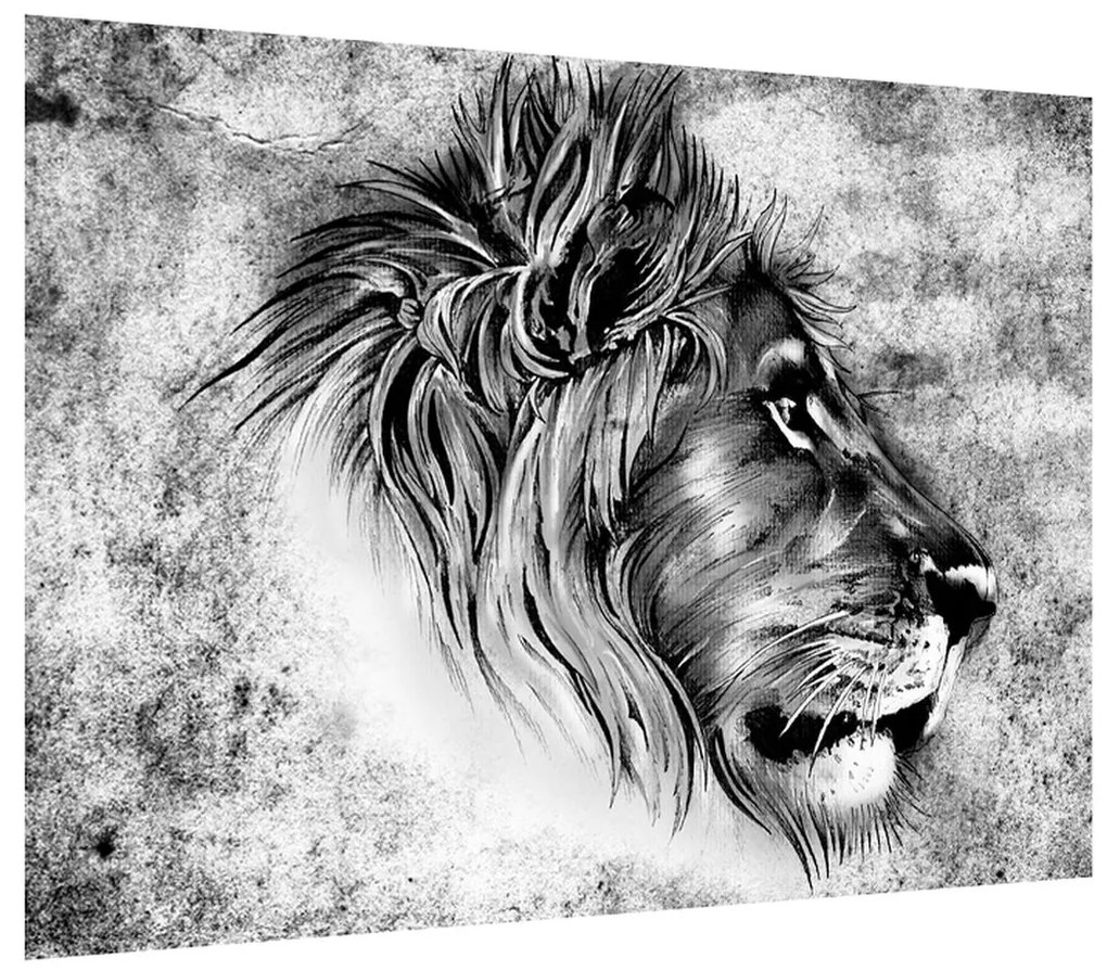 Čiernobiely obraz leva (70x50 cm)