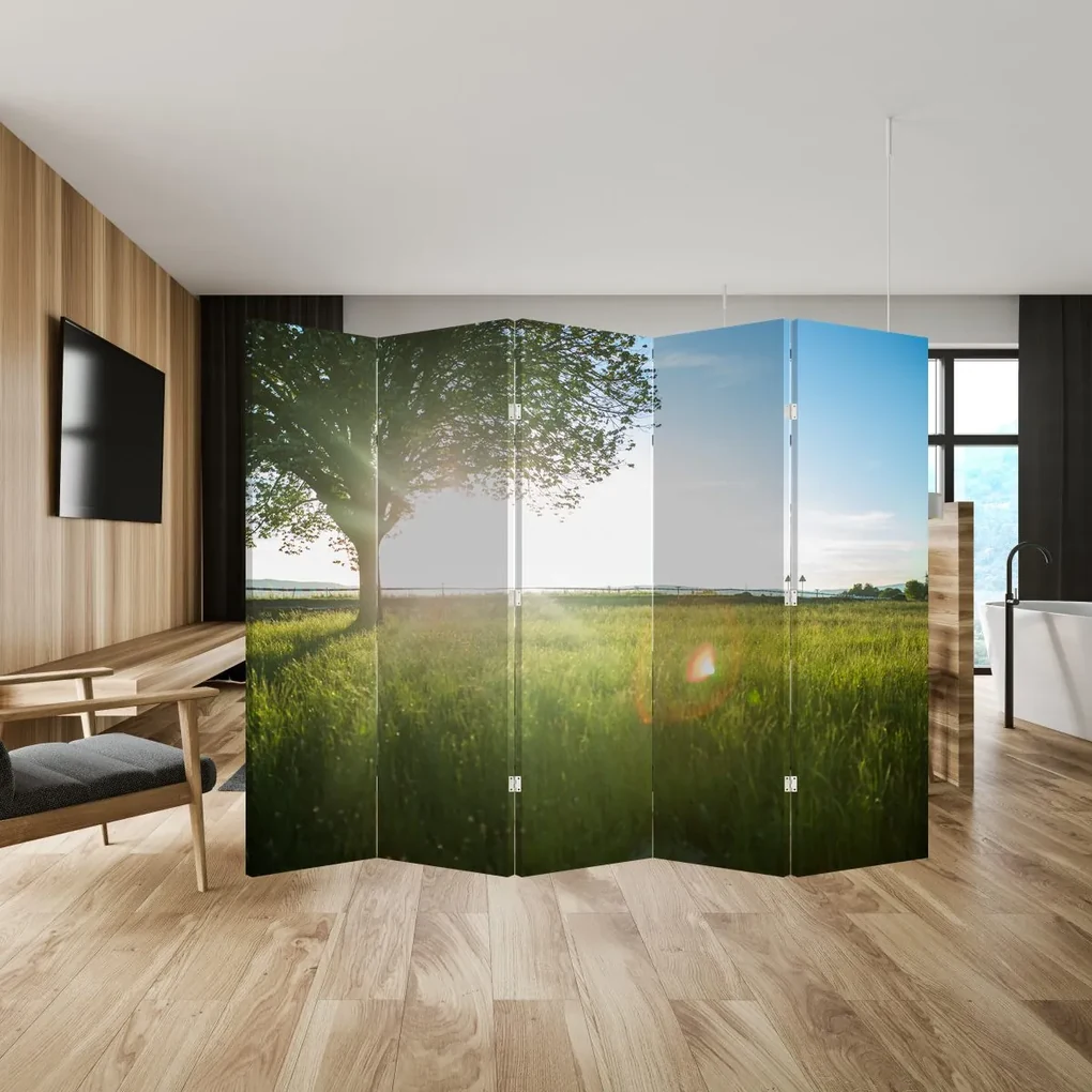 Paraván - Letná lúka (210x170 cm)