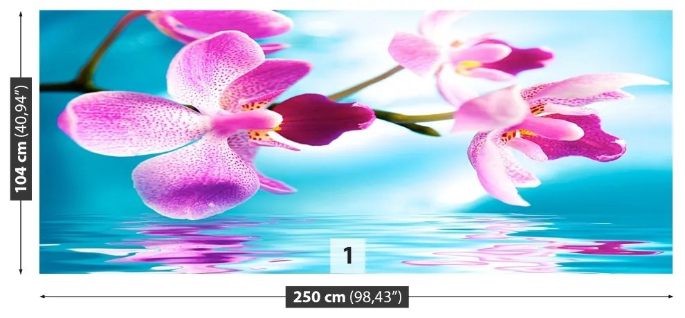 Fototapeta Vliesová Voda orchidea 152x104 cm