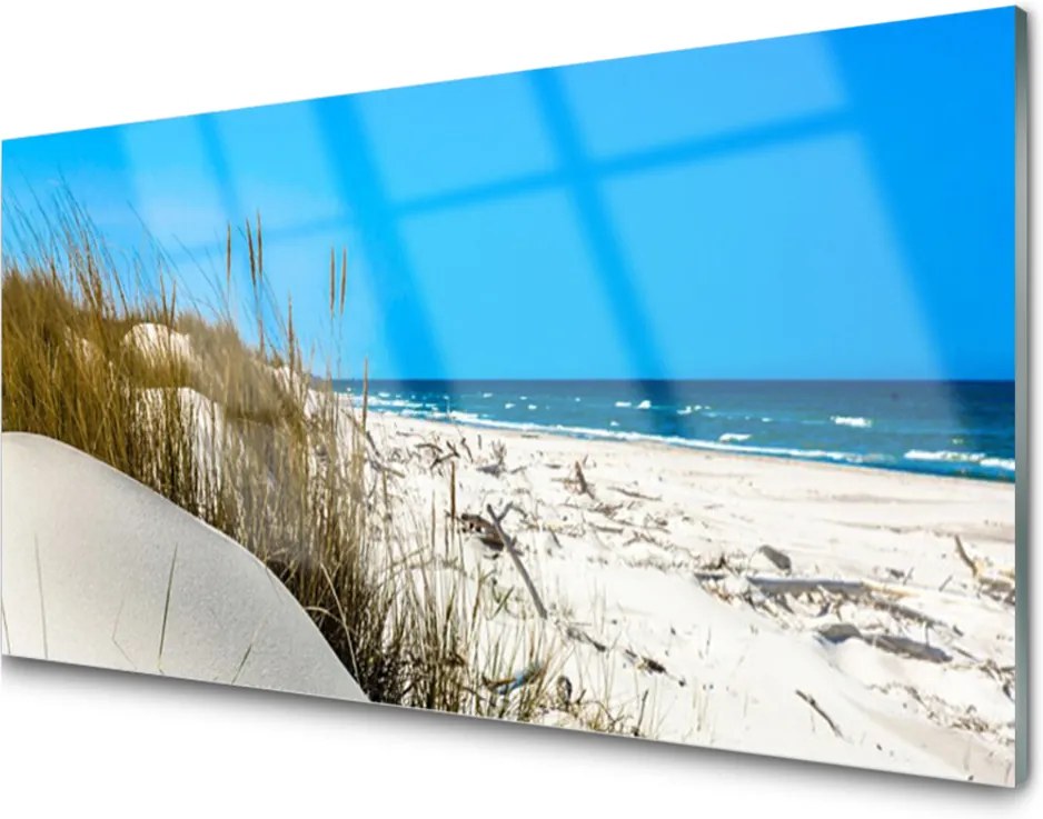 Obraz na akrylátovom skle Sklenený Pláž Príroda