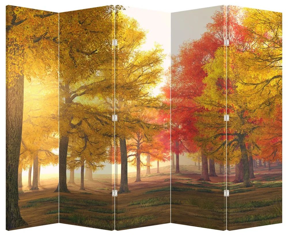 Paraván - Jesenné stromy (210x170 cm)