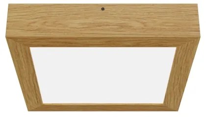 APLED - LED Stropné svietidlo QUADRA LED/24W/230V dub