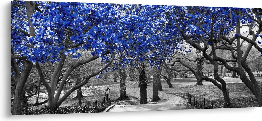 Obrázok - Modré stromy, Central Park, New York (120x50 cm)
