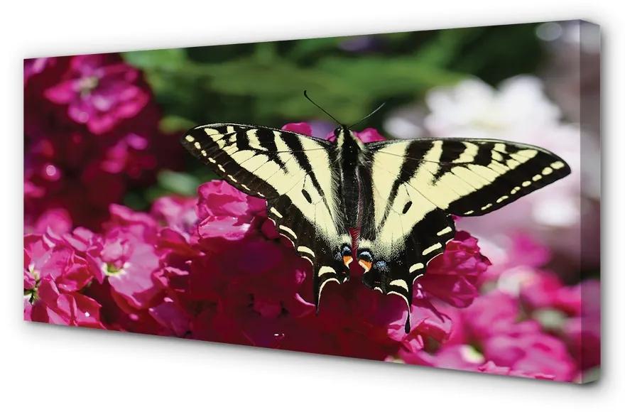 Obraz na plátne kvety motýľ 140x70 cm