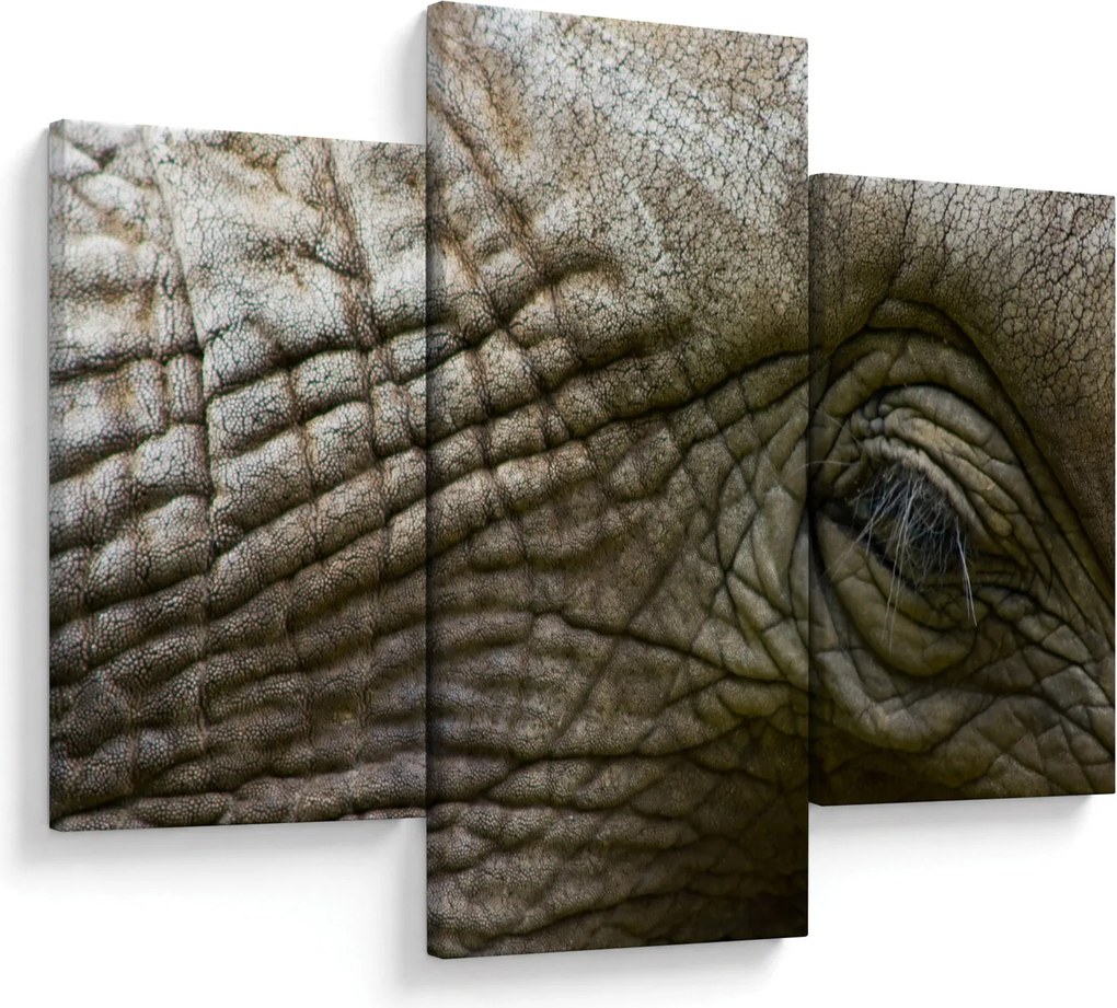Obraz - Detailné fotografie starého slonieho oka (90x60 cm)
