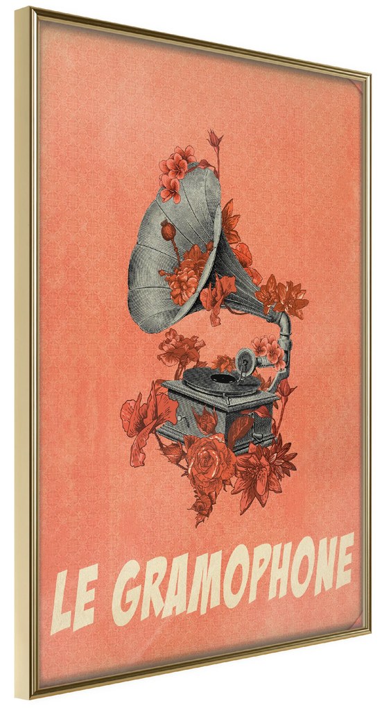 Artgeist Plagát - Gramophone [Poster] Veľkosť: 40x60, Verzia: Zlatý rám s passe-partout