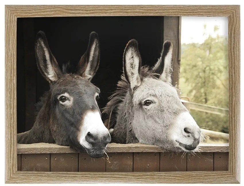 Podnos na nohy s oslíkmi - 43 * 33 * 7cm