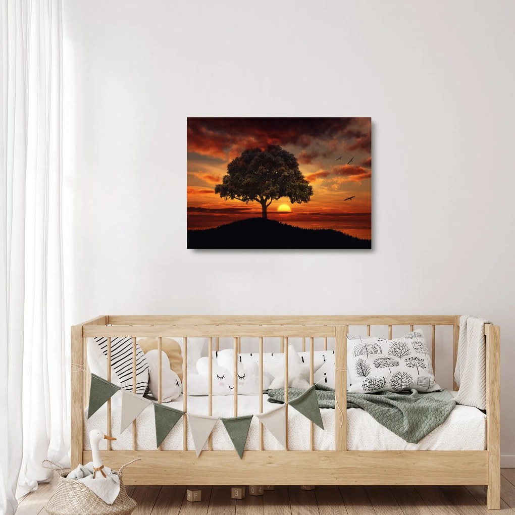 Sklenený obraz stromu pri západe slnka (70x50 cm)
