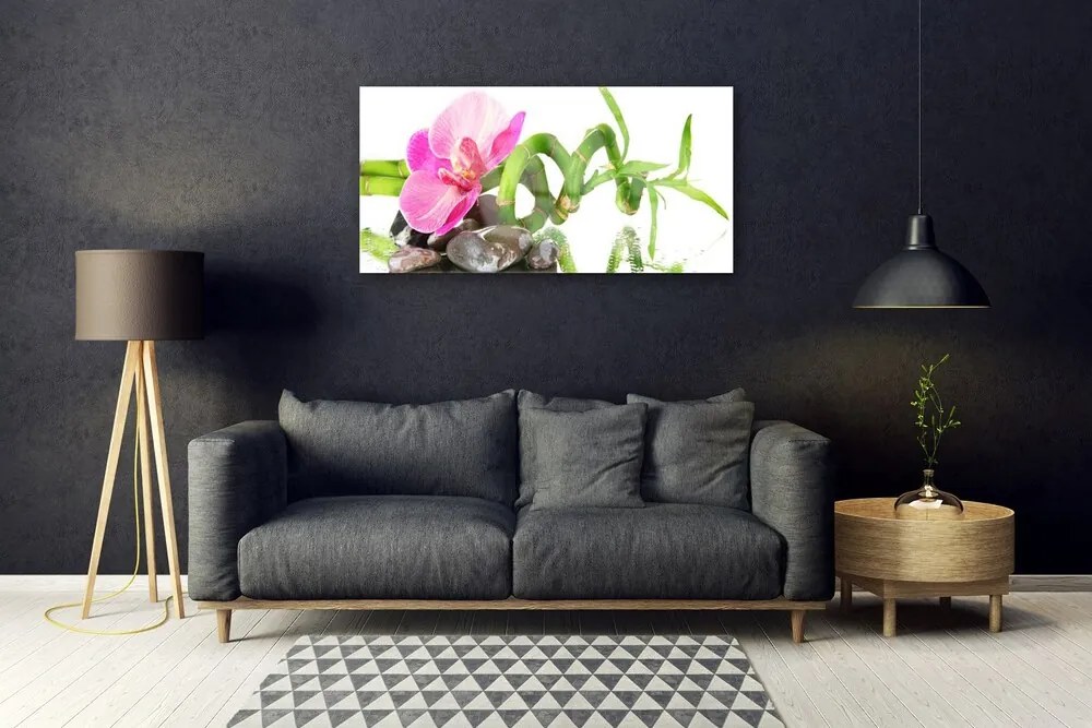 Obraz na skle Kvet rastlina príroda 125x50 cm