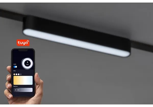 Rabalux 70123-LED Stm. str. svieti. do 1-fáz. lišt. sys. LiTrack 12W/24V 22 cm