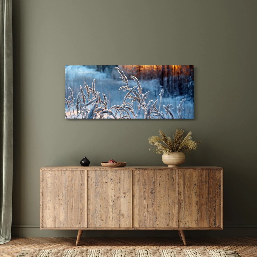 Obraz - Zimná lúka (120x50 cm)