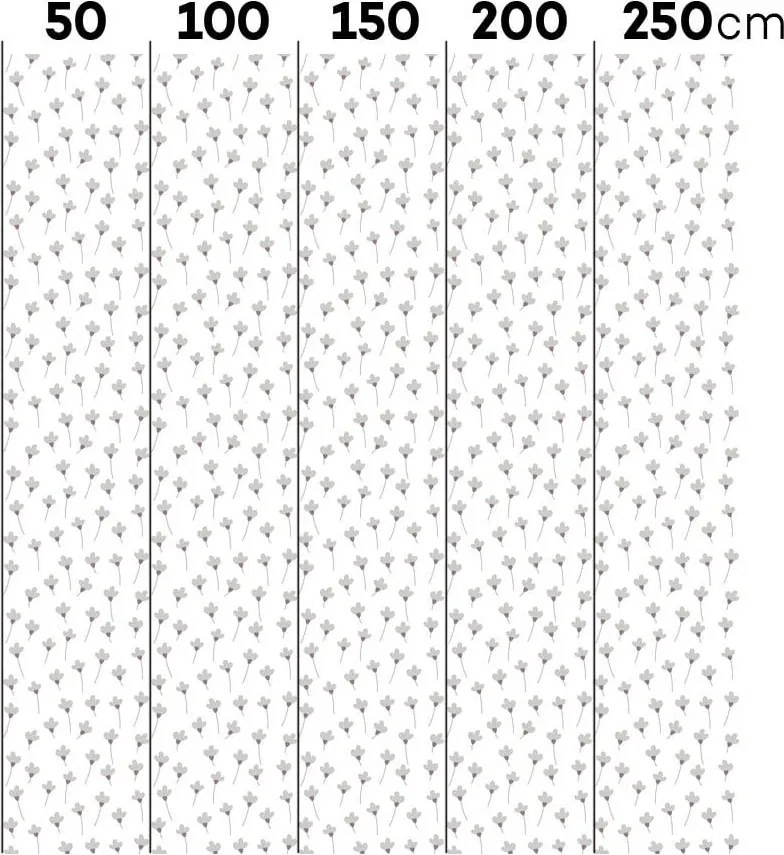 Tapeta sedmokrásky bielo šedá 280×50 cm