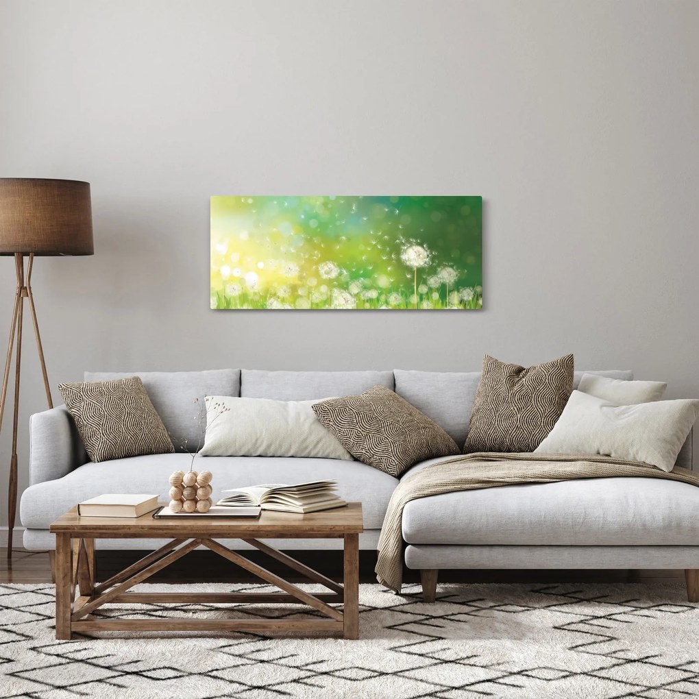 Obraz - Odkvitnuté púpavy (120x50 cm)