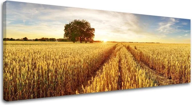 Obraz na stenu LÚKA_053-13