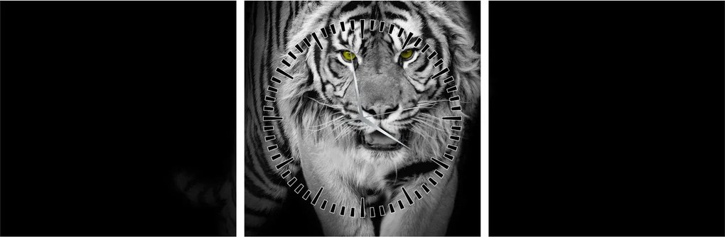 Obraz - Tiger so žltými očami (s hodinami) (90x30 cm)