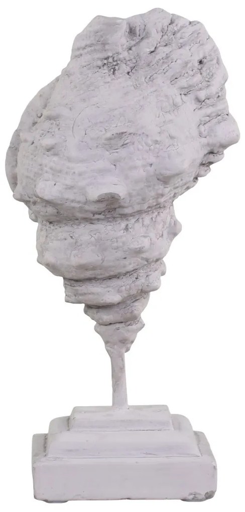 Šedá cementová dekorácia mušle na podstavci - 7*5*20 cm