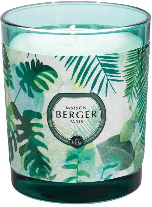 Maison Berger Paris Immersion sviečka Čerstvý eukalyptus, 240 g