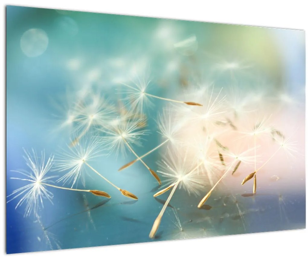 Obraz - šťastia (90x60 cm)