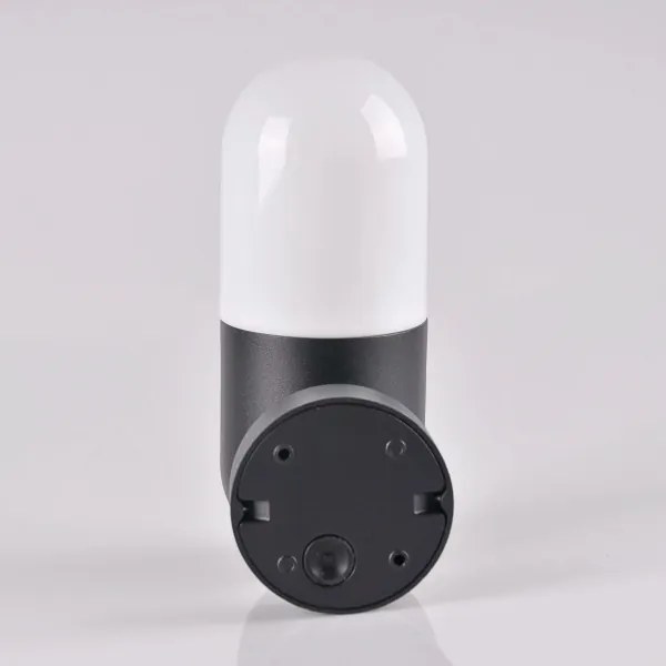 Vonkajšie nástenné svietidlo HORTEN 1xE27/10W/230V IP44