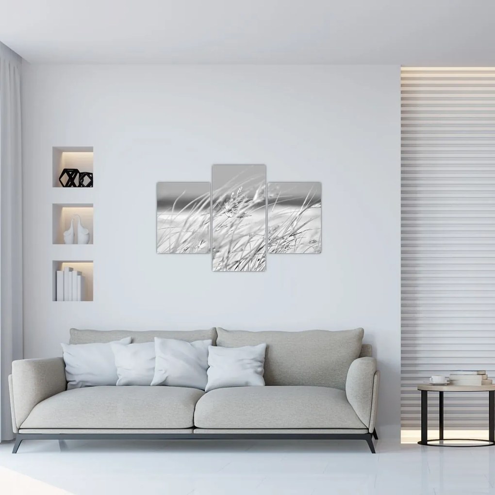 Obraz - Plážová tráva (90x60 cm)