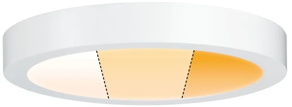 Paulmann 79799 - LED/19W Stropné svietidlo CARPO 230V 2300/2500/3000K