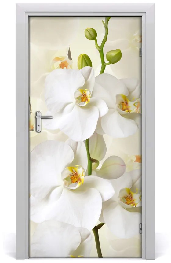 Fototapeta na dvere biela orchidea 85x205 cm