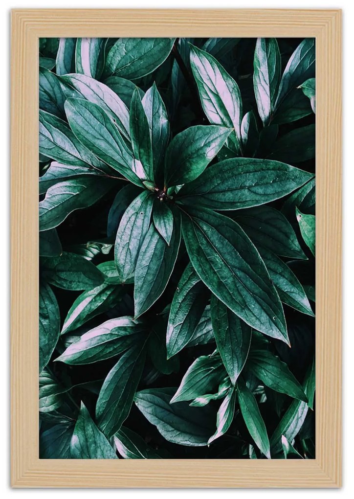 Gario Plagát Fascinujúce listy Farba rámu: Bez rámu, Rozmery: 30 x 45 cm