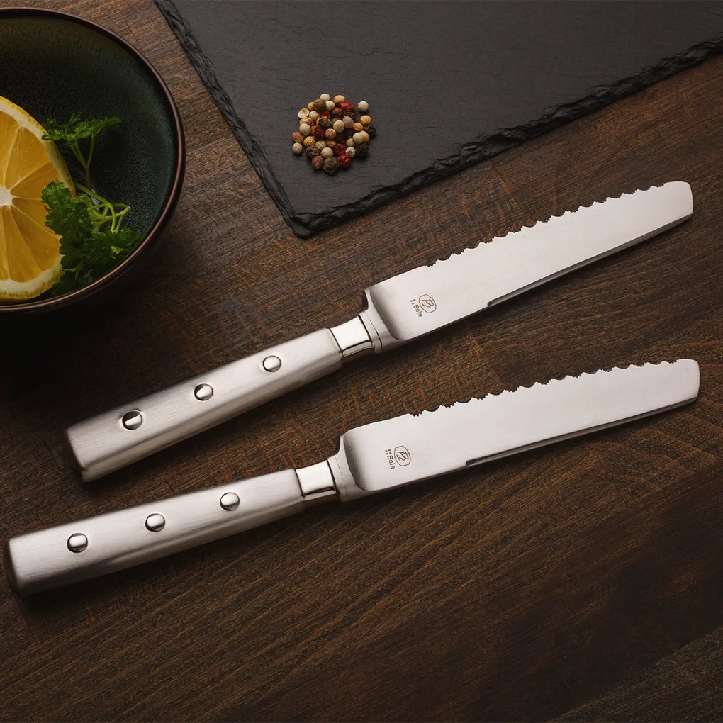 Steakové nože v magnetickom boxe set 6 ks – Bistro - 118758