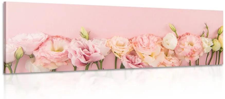 Obraz pastelové kvitnúce kvety Varianta: 150x50
