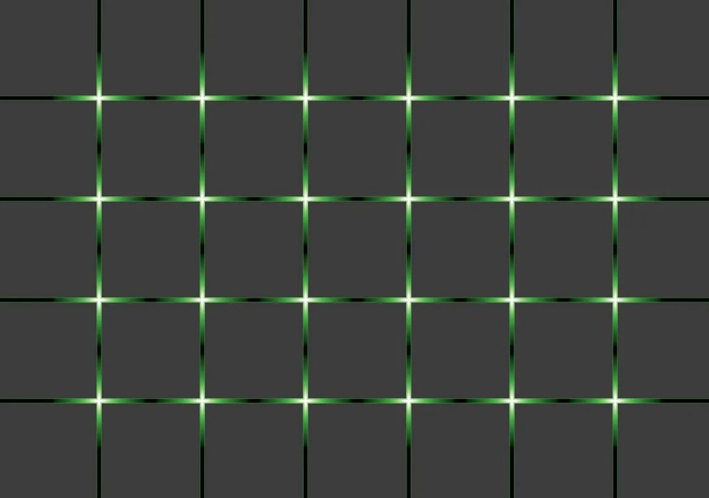 Fototapeta - Zelená mriežka (152,5x104 cm)