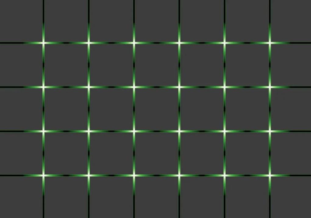 Fototapeta - Zelená mriežka (254x184 cm)