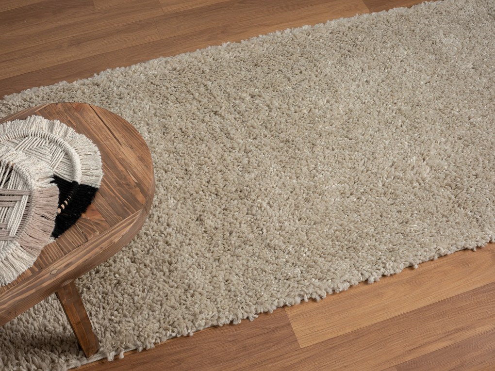 Behúň My Shaggy beige, 80x200, béžová, chodba / predsieň, My Flair