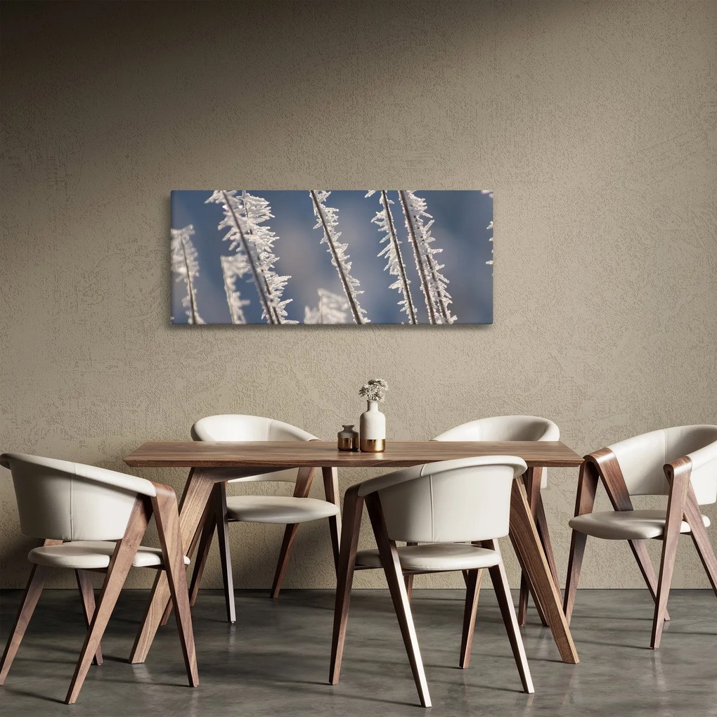 Obraz - Mrazík (120x50 cm)