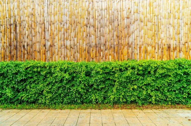 Bambusový plot 100 cm x 300 cm x 12 mm