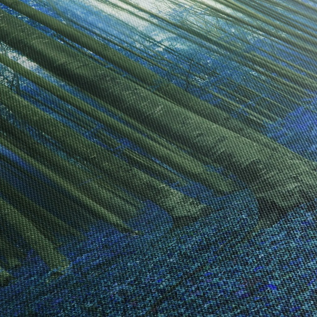 Obraz - Modrý les (70x50 cm)